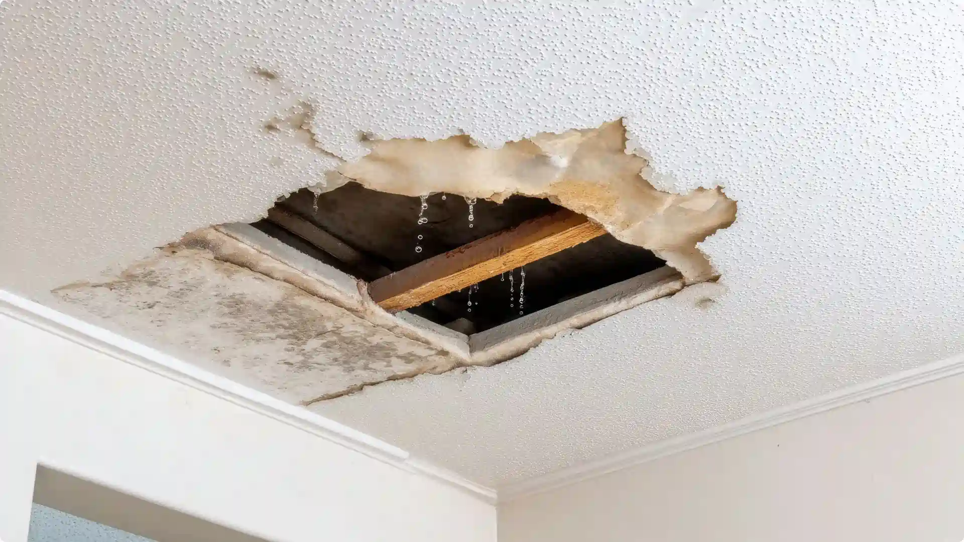 Ceiling leak